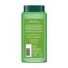 Green Apple Conditioning Shampoo (340 Ml), Green Apple Shine & Gloss Shampoo & Conditioner, Biotique