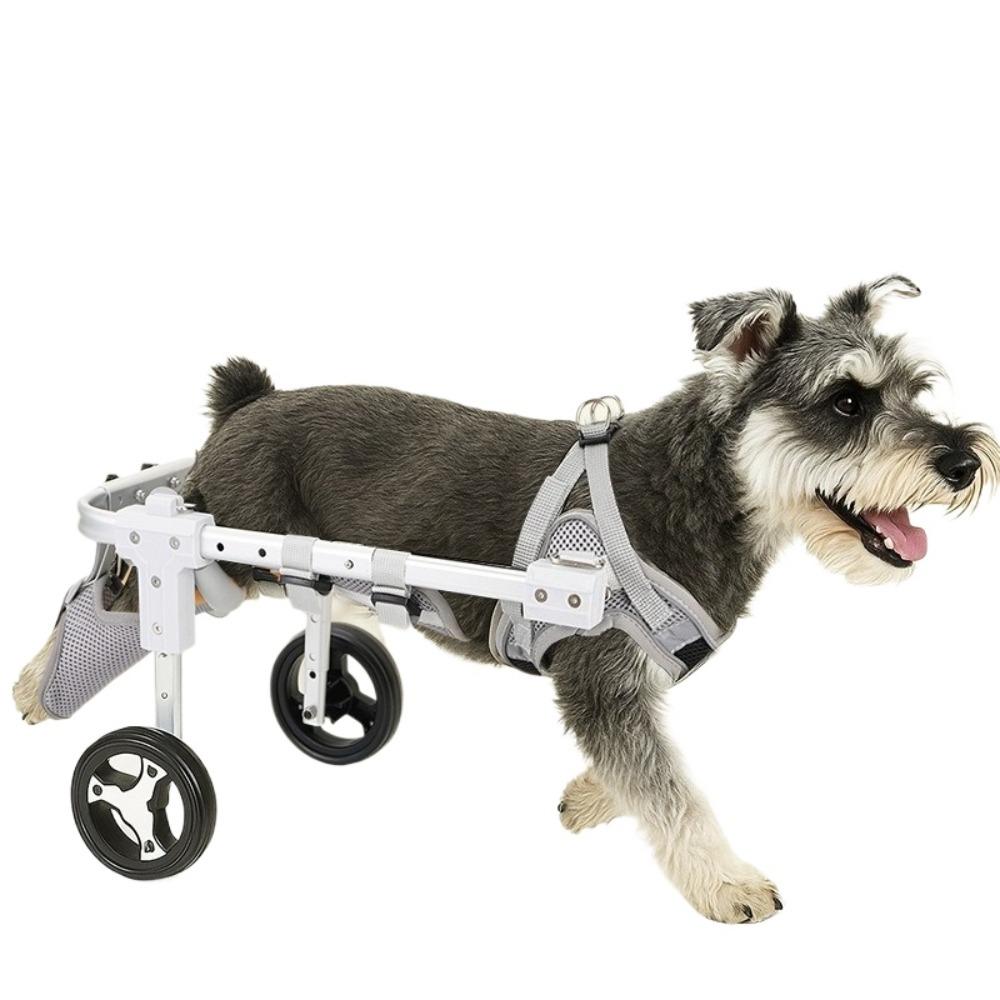Pet Cat Hind Leg Assistive Vehicle Two-wheel/four-wheel Silent and Wear-resistant Dog Assistive Vehicle Adjustable Pet Products