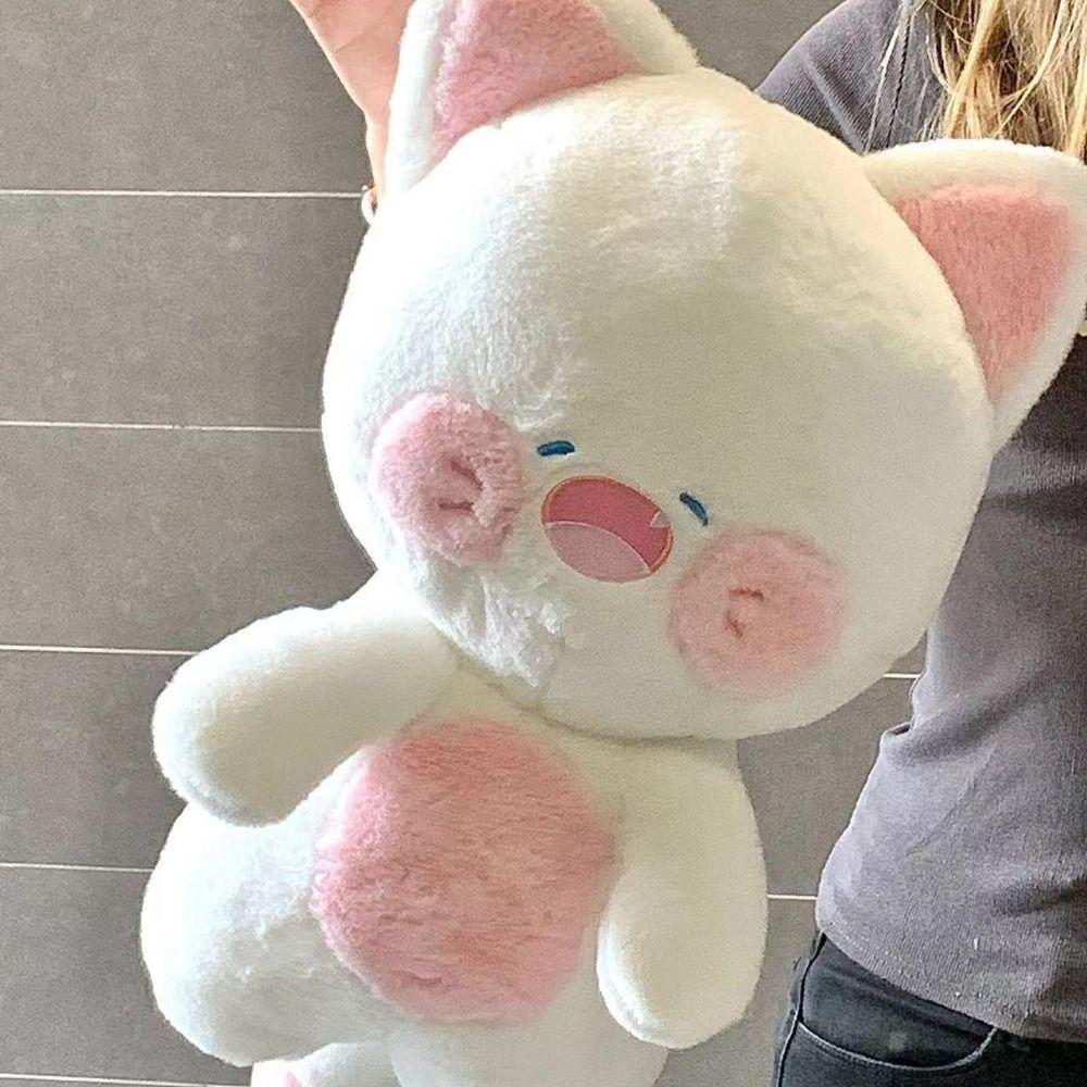 Plush Cute Shark Cat Plush Toy Shark Cat Plush Shark Cat Toy Shark Cat Doll Pillow  Home Decoration