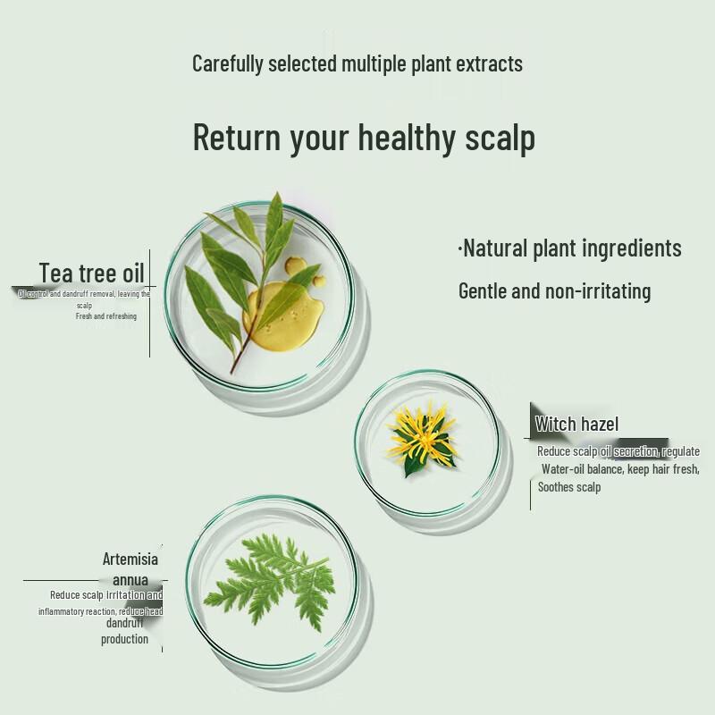 Selsun Blue Tea Tree Anti-Dandruff Oil Control Volumizing Shampoo Set