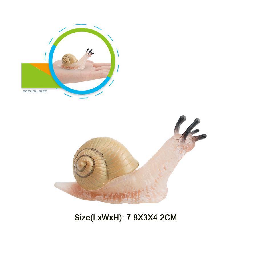 Realistic Life Cycle Of A Snail Model Figure Snail Figurine Party Favors Supplies Cake Toppers Desktop Decoration Collection Toy