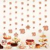 Rose Gold 18th Birthday Decorations for Girls, 8 PCS Number 18 Circle Dot 3D Star Metallic Hanging Streamer Happy 18 Year Old Birthday Party Supplies