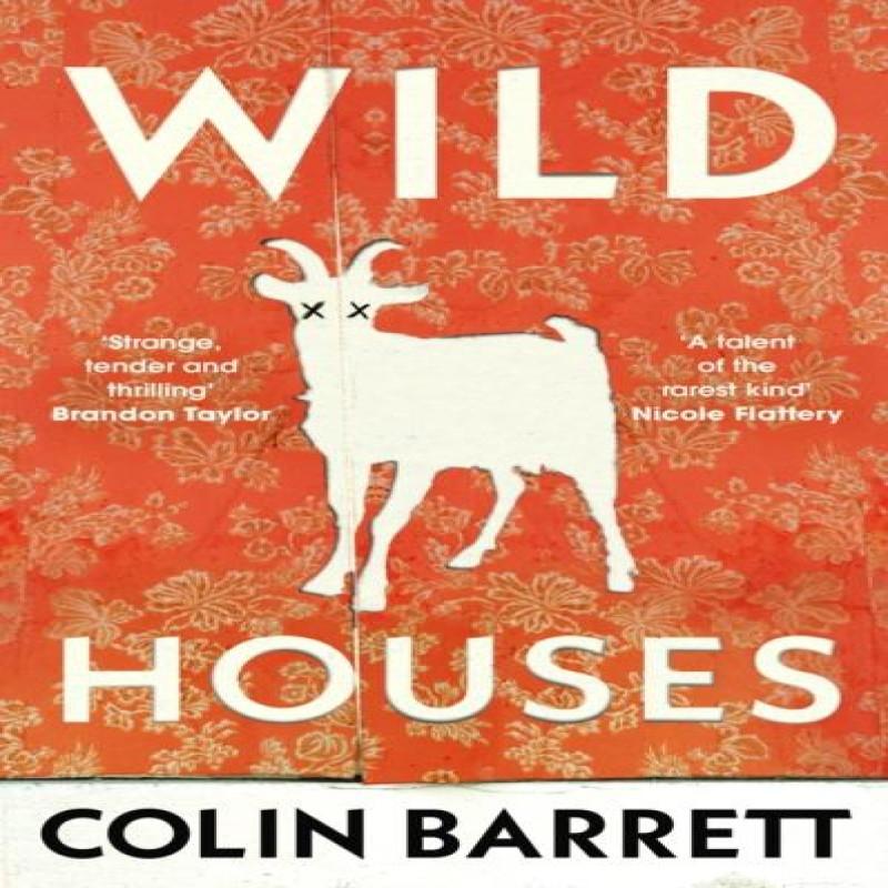 Wild Houses by Colin Barrett Hardback Book 9780224099851