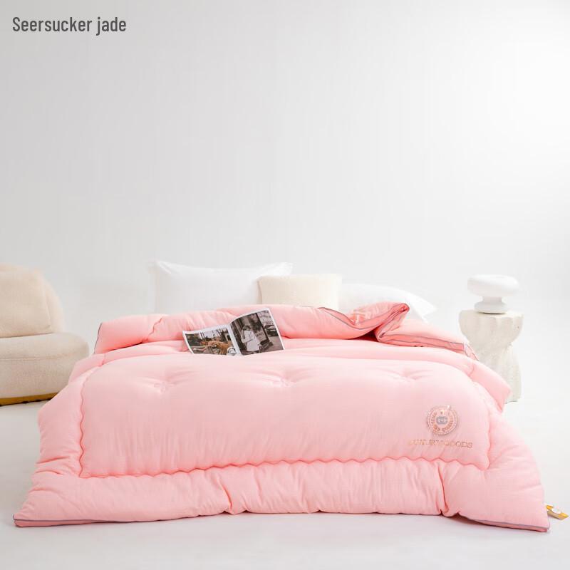 Huici Home 5D Cloud Feel Warm Quilt Insert
