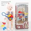 Human Body Anatomy Educational Toy Removable Organ Set for Boys Girls Aged 4+ Science Learning Toy Birthday Gift for Kids