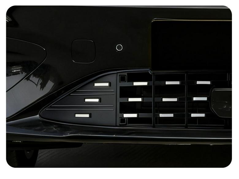 Leapmotor Lafa5 Insect Net Grille Protection Cover - Fits 26 Models