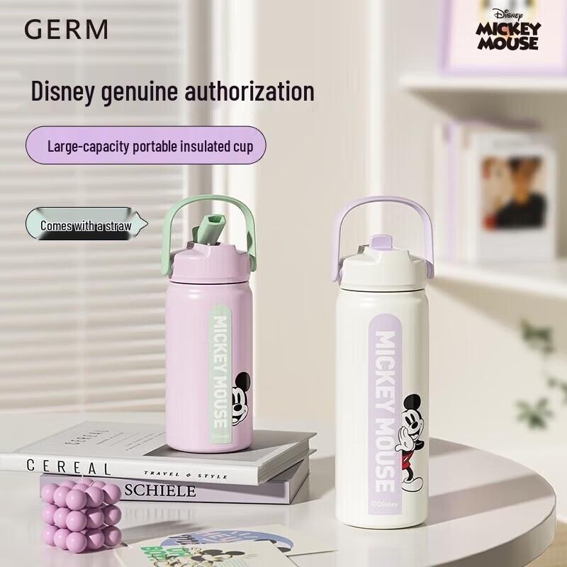 Gemi Disney 316 Stainless Steel Insulated Bottle