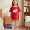 Girls' Pajamas Set Big Kids Summer Short-sleeved Cute Cartoon Animal Two-piece Set
