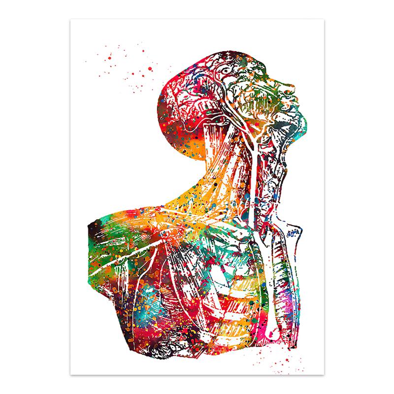 

Настенный плакат «Анатомия человека», Мышечная система, Холст, Акварельная декорация, Медицинское образование, Офис, Постеры с картинками 21x30cm No Framed