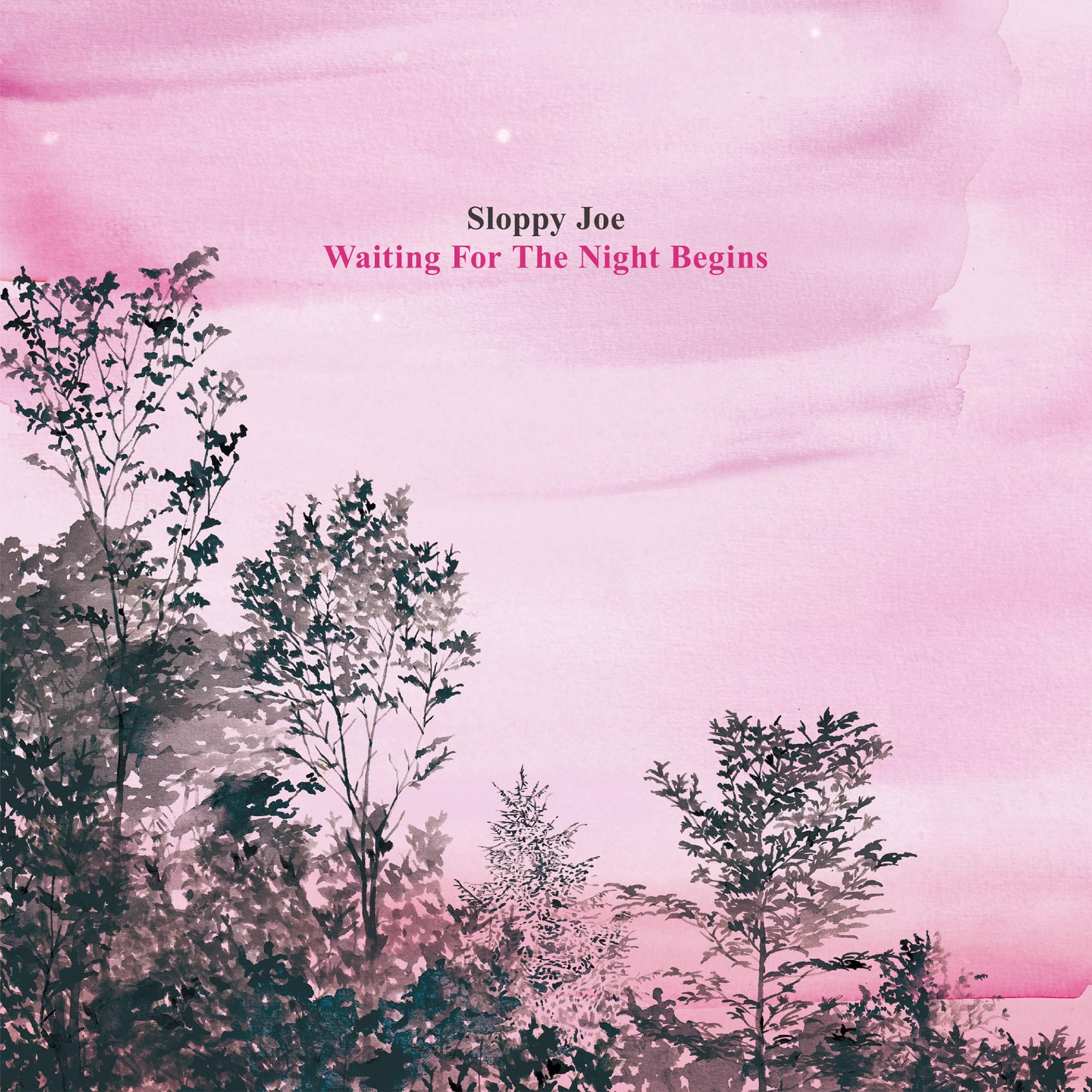 

LP Record SLOPPY JOE - Waiting For The Night Begins FCRD072LP fastcut records 2020 Japan Japanese Pop/Rock