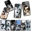 Cover for Xiaomi Redmi Note 14 12 13 ProPlus A4 A3 Pro Plus 12C 13C 14C 5G Phone Case Husky Pet Dog Wallpaper