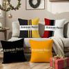 Famous Iuxury Goods Audemars Piguet-T Pillow Case Comfort Sofa Bed Silky Elegant Invisible Zipper Decorative Cushion Cover