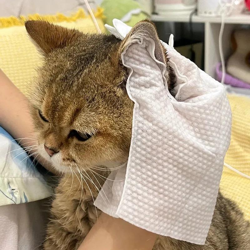 6/12/30pcsCat/Dog Disposable Glove Towels Pet Wash Free Glove No Rinse Washing Gloves Towels Deodorizing Dry Cleaning Wet Towels