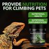 Calcium Powder for Reptiles – No D3 | Ideal for Lizards & Geckos | Nutritional Supplement