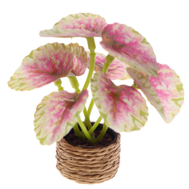 

1/12 Кукольный домик Симуляция Зеленые растения в горшках Модель Кукольный домик Мини Садовое украшение Игрушка Микро Ландшафт Бонсай Орнамент as the picture