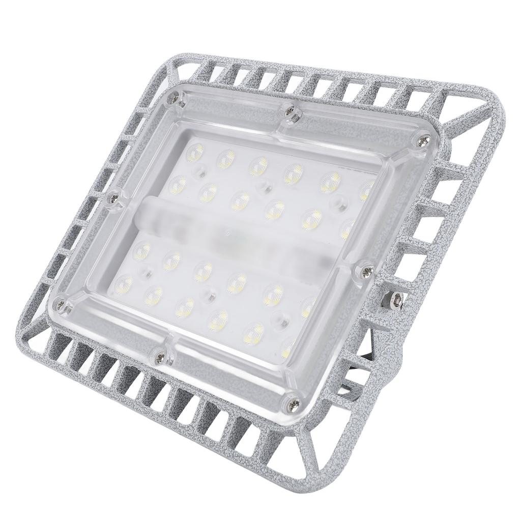 LED Explosion Proof Light 50W 5500LM 5000K High Brightness IP65 Water Resistant Die Cast Aluminum LE