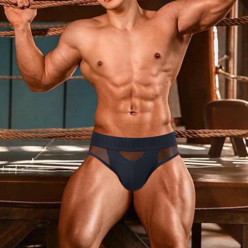 Men's Quick-Dry Thong: Transparent Mesh, Low-Waist, Double-Layer Cotton Crotch Underwear