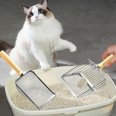 Katzen – Katzenpflege