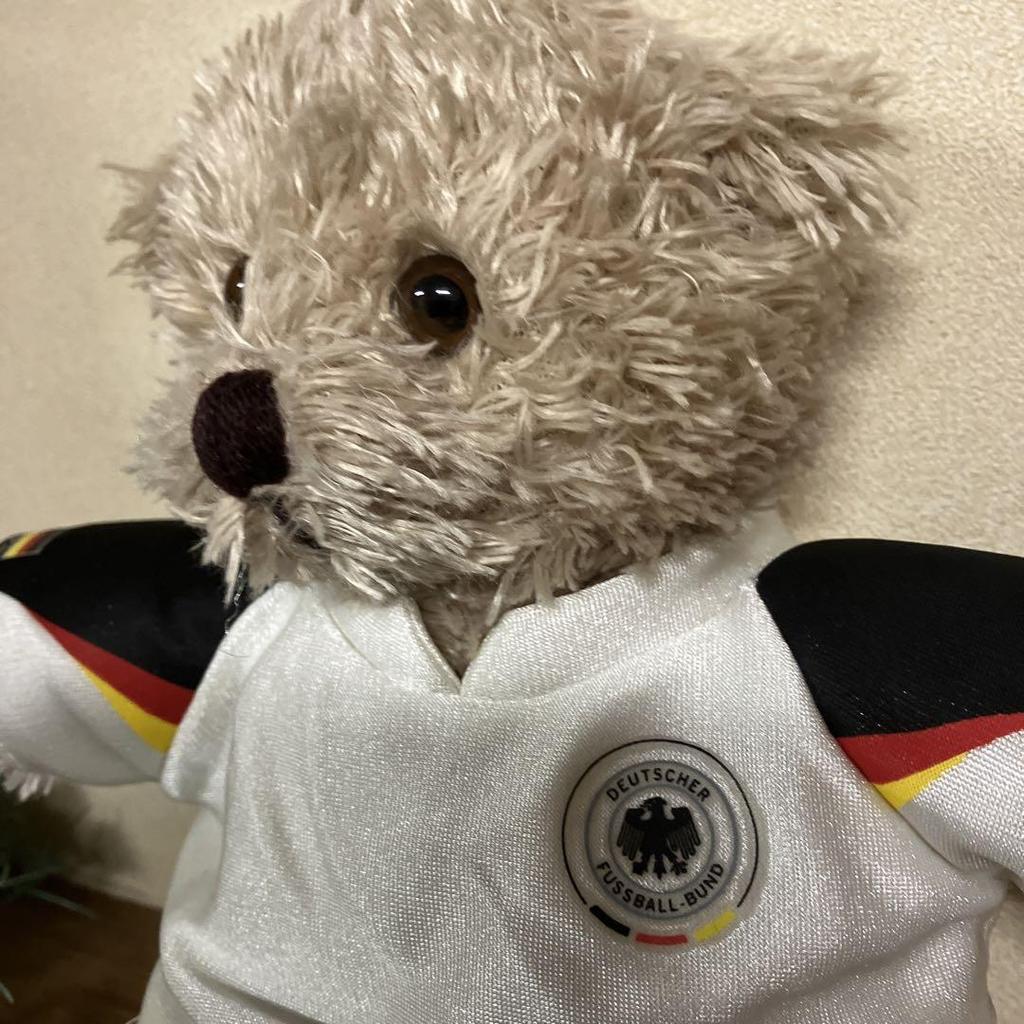 [USED] German-made Teddy Bear, Stuffed Animal, Bear, German Football Association Bremen GmbH