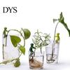 Multi-purpose Plant Stand Hydroponic Plants Pothos Ivy Lucky Bamboo Succulents Desktop Bracket Cartoon Holder with Clamp Design Indoor Garden