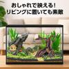 Rubonarie Reptilien Treibholz Kletterbaum für Terrarien, Aquariendekoration, Molch (Braun)