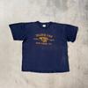 Maglietta Vintage 90s Blink 182 Taglia XL Blu Sbiadito
