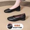 Leather square head shallow mouth single shoes 2025 new leather shoes soft leather soft surface spring and autumn soft sole mother retro women's shoes