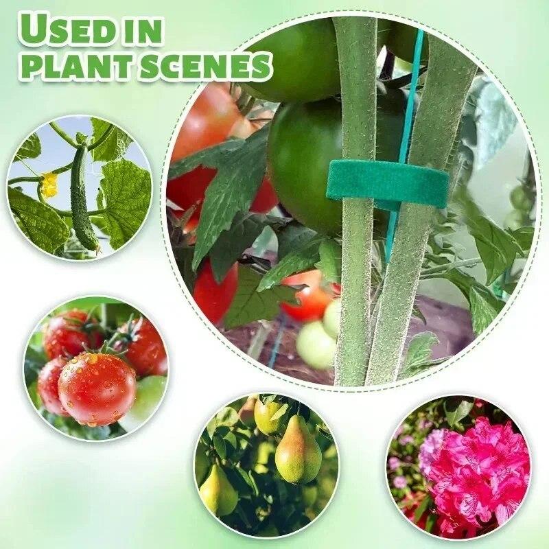 Fascette in Nylon Riutilizzabili Gancio a Strappo per Supporto Viti da Uva Autoadesive Fascette per Cavi Nastro di Fissaggio Forniture da Giardino