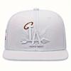 Neuer Buchstaben-Flügelmuster-Seite Kokosnussbaum-Stickerei Mode Hohe Qualität Snapback Herren Vielseitige Freizeit-Baseballkappe