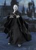 TAMASHII NATIONS Lord Voldemort Potter and the Goblet of Approximately 150mm PVC ABS Fabric Painted Movable Figure S.H.Figuarts (Harry Fire) & &