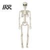 Durable Skeleton Model for Cemetery Theme Halloween Decoration, 3Ft Life Size Full Body Human Bone, Realistic Posable Party Decorations with