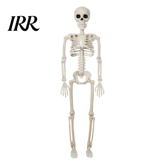 Durable Skeleton Model for Cemetery Theme Halloween Decoration, 3Ft Life Size Full Body Human Bone, Realistic Posable Party Decorations with