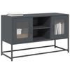 VidaXL TV Stand Anthracite 100,5x39x60,5 Cm Steel, TV Support, TV Buffet, Multimedia Cabinet, TV Bench, Hi-fi Cabinet, Center 853382