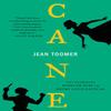 Cane by Jean Toomer Paperback Book 9780871402103
