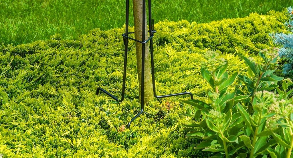 KADAX Podpora Obejma Stojak Na Róże Pnącza Stalowa