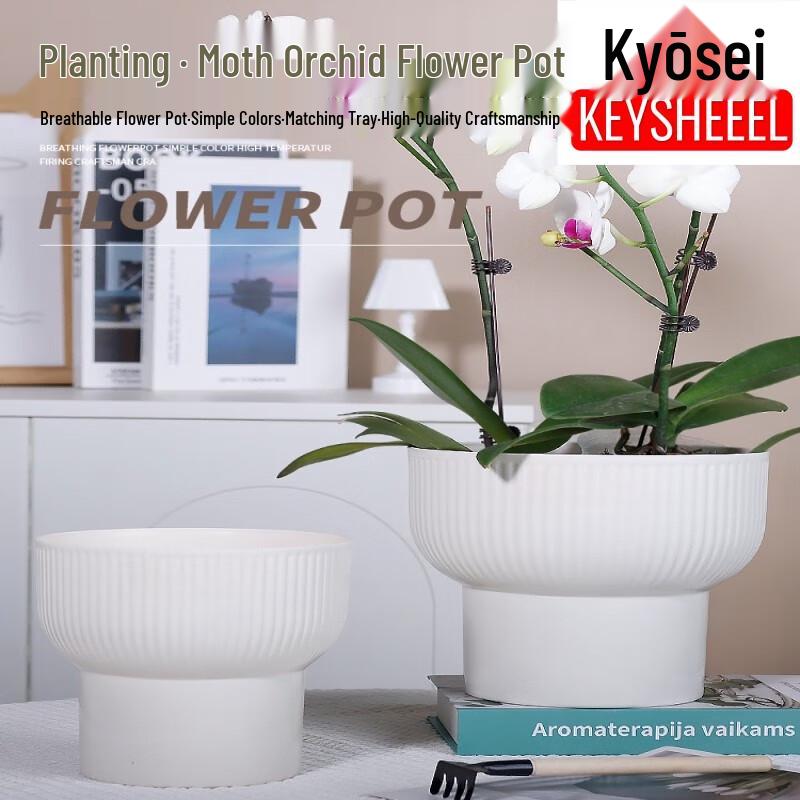 KEYSHEEL High-Legged Plastic Orchid & Plant Pot