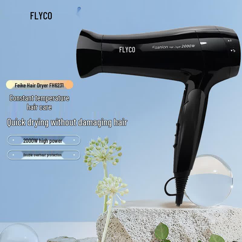 FLYCO FH6231 Foldable Hair Dryer CN plug (adapter included)