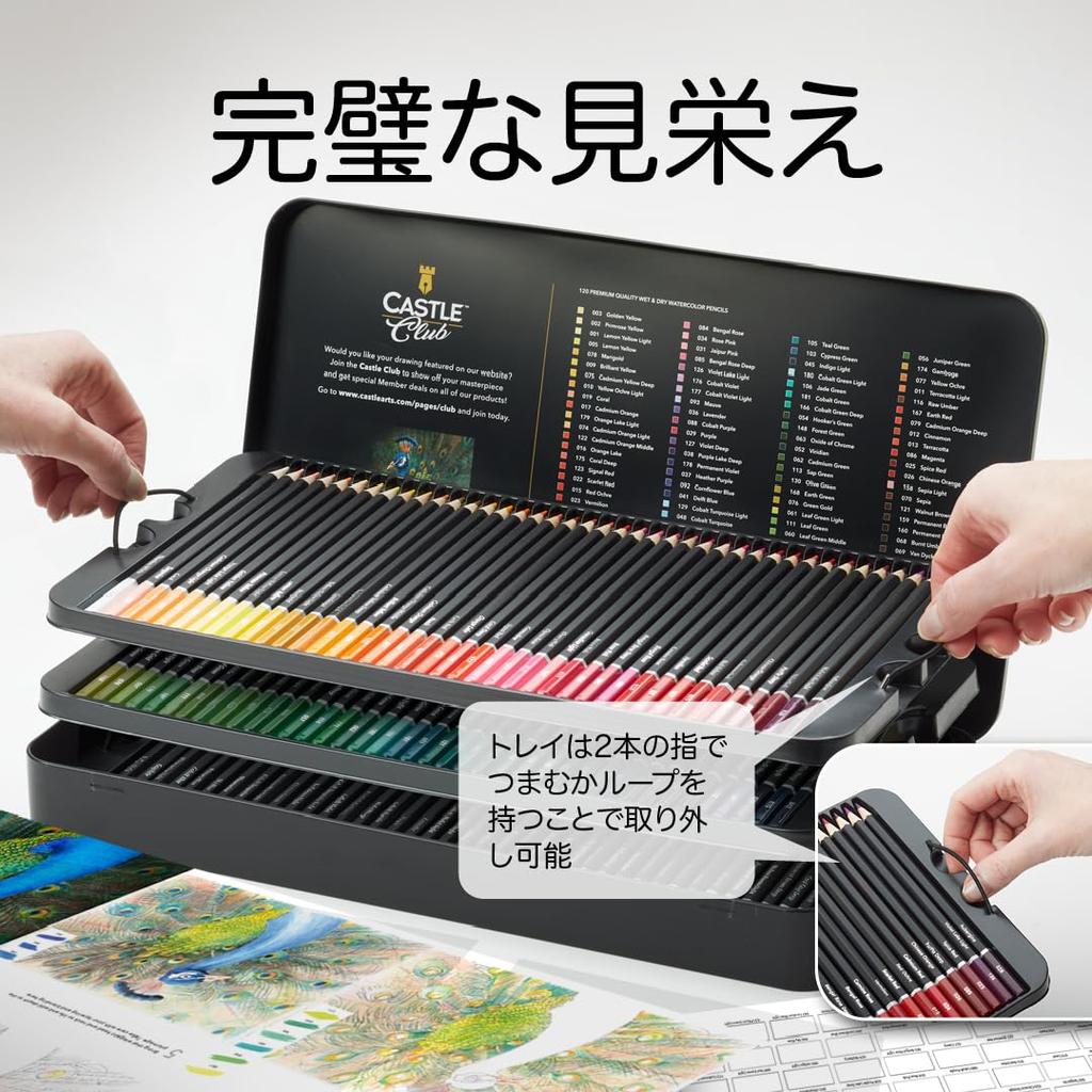 Castle Art Überraschungs-Aquarellstift-Set Lebendige Pigmente Gleichzeitig Zeichnen und Malen Für Erwachsene Künstler und Profis Schutzblechdose für