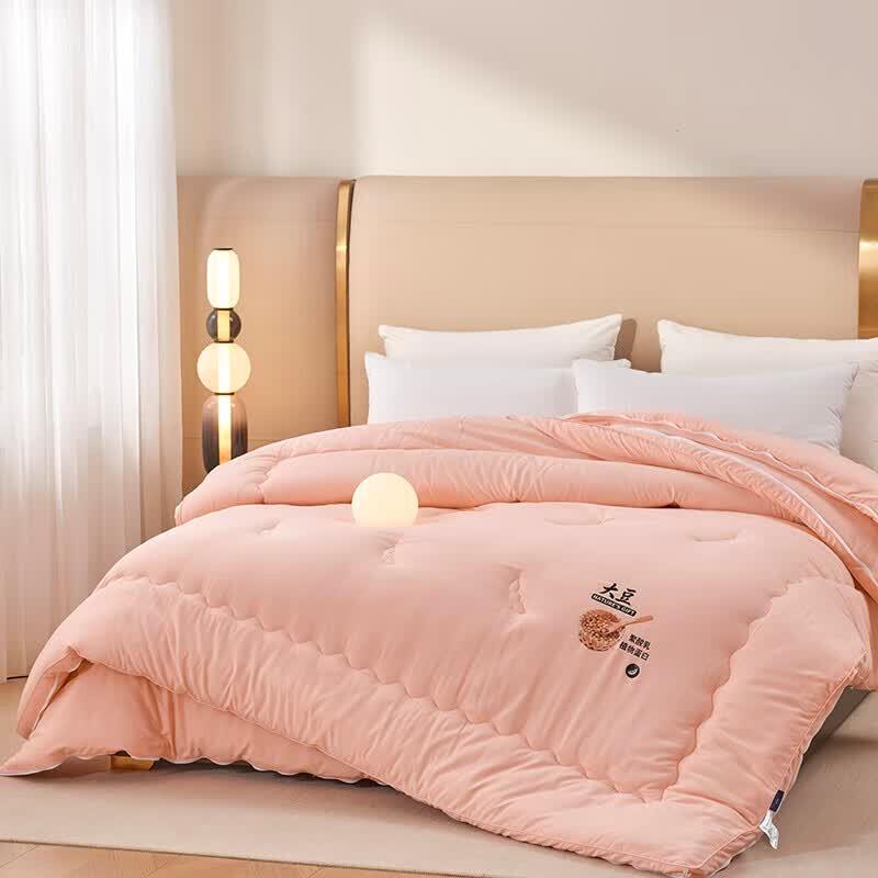 PAUI DAVID Cloud Bean 2-in-1 All-Season Quilt