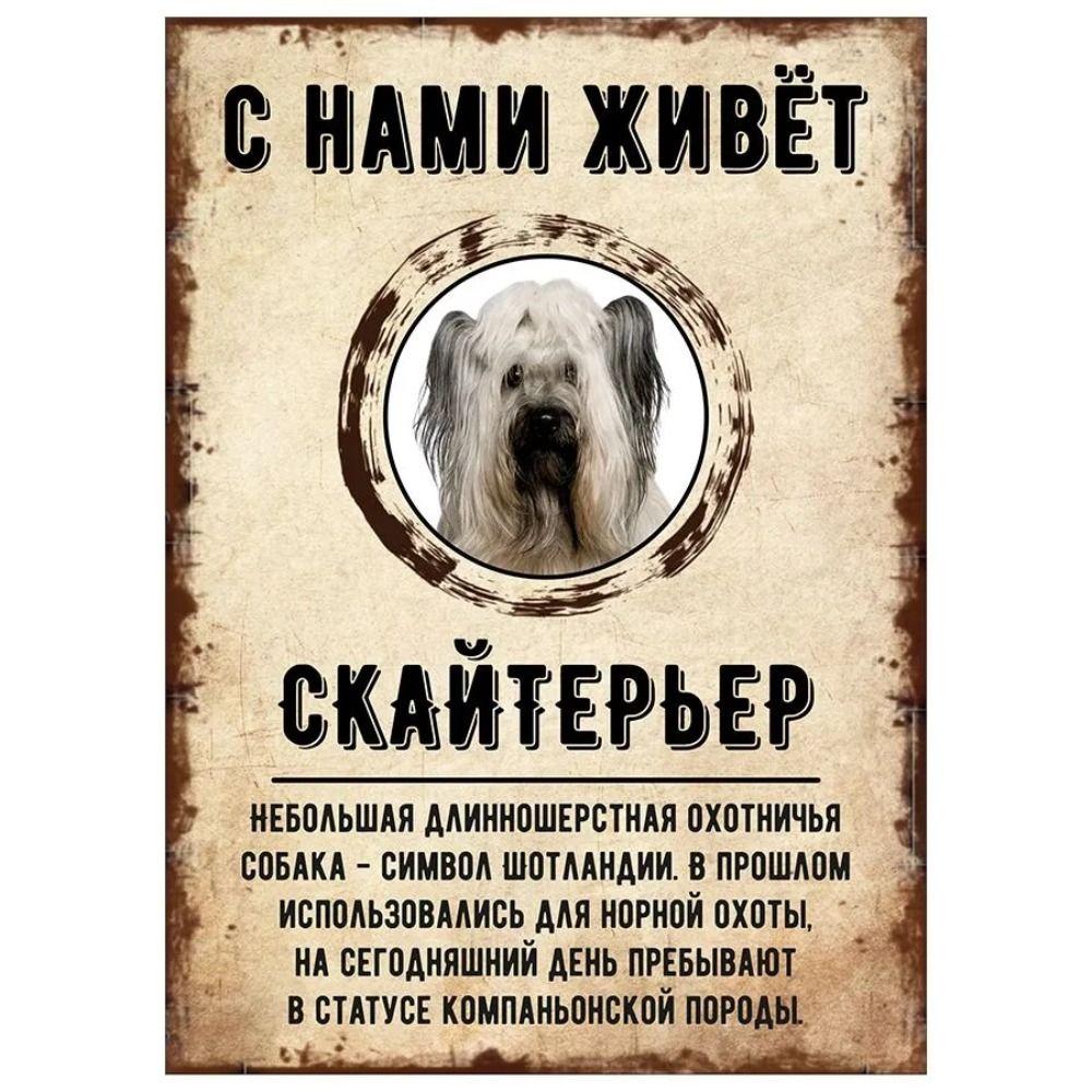 Schild, dekorativ, GEFAHR HUND, Schnauzer lebt bei uns, 20x30cm