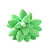 25cm Lifelike Succulent Plants Plush Stuffed Toys Soft Doll Creative Potted Flowers Pillow Chair Cushion for Girls Kids Gift