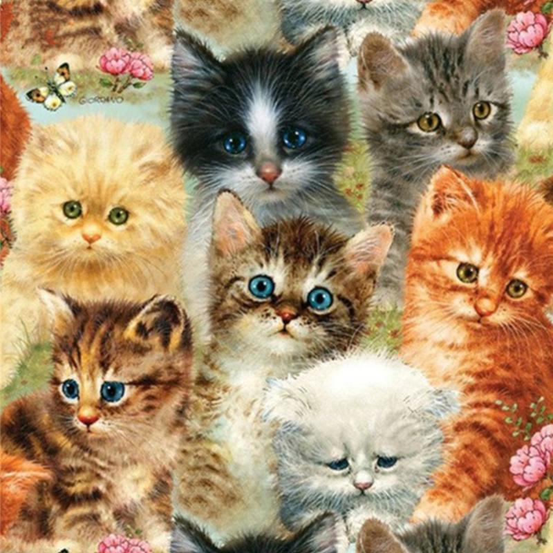 diamond painting kits 20x20cm Kitten in cup 3