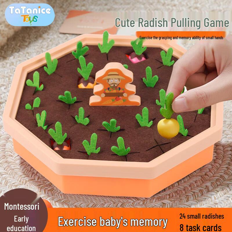 TaTanice Montessori Early Learning Activity Toys