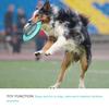 Flying Saucer Dog Game Flying Discs Toys Cat Chew Leaking Slow Food Feeder Ball Puppy IQ Training Toy Anti Choke Puzzle Dogs