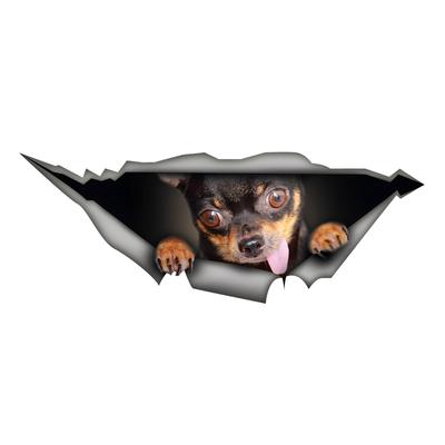 Pegatinas de Coche Chihuahua Divertidas Calcomanía de Vinilo Impermeable Accesorios Decorativos para Motocicleta, Usadas para Coche, Motocicleta, Portátil, Furgoneta
