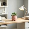 Smiling Face Planter Mini Flowerpot Cute Desktop 3D Printed Healing Green Plant Pot Creative for Home Office Stable with Legs