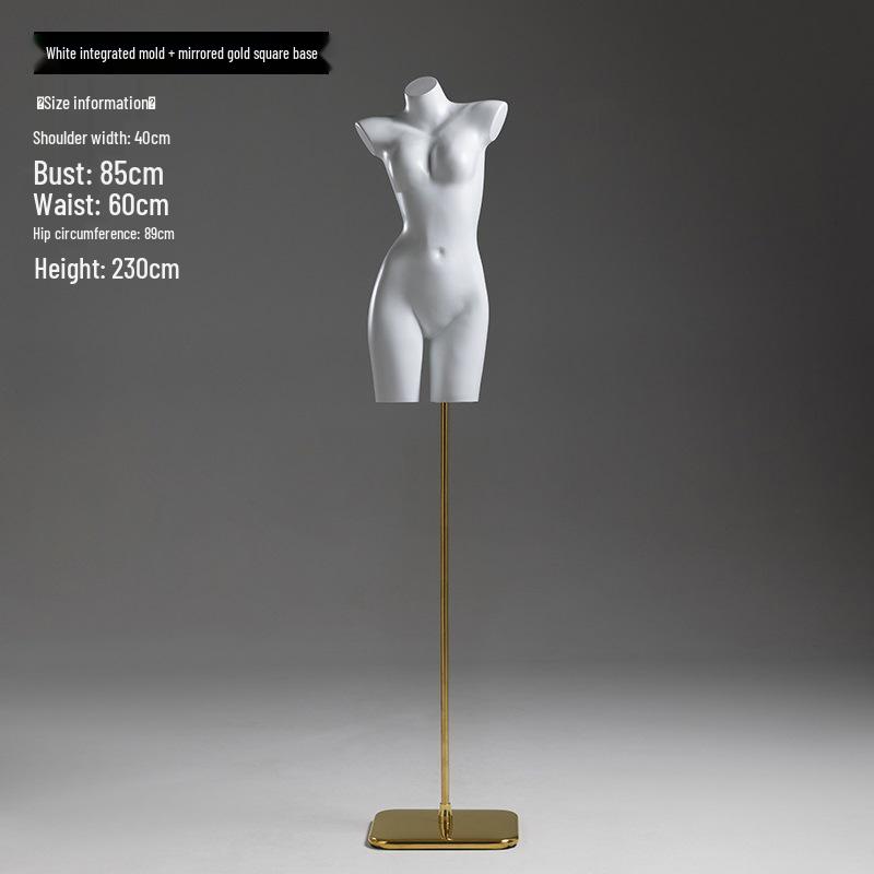 Female and Male Torso Mannequin Stand for Displaying Underwear and Bras