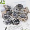 Fashion Stone Crafts Natural Agate Geodes DIY Natural Mini Cornucopia Mineral Ore Rough Carved Raw Stone Ornaments Office