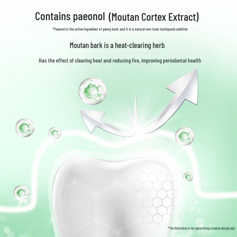 Dr. Dental Plant Extract Gum Protection Toothpaste