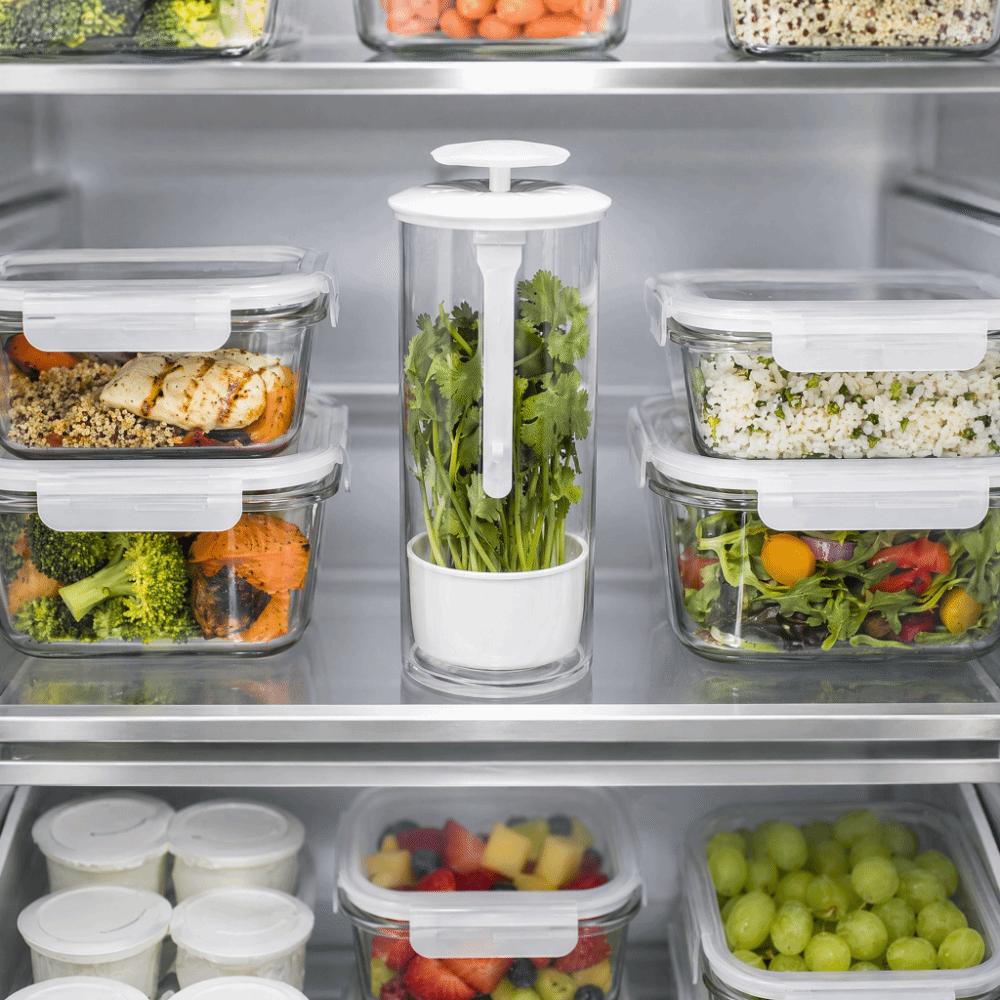 Anti-pressure Herb Saver Dust-proof Vegetables Preservation Bottle Cilantro Parsley Basil Mint